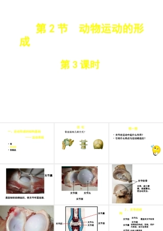八年级生物上册 第15章 第2节 动物运动的形成课件3（新版）北师大版
