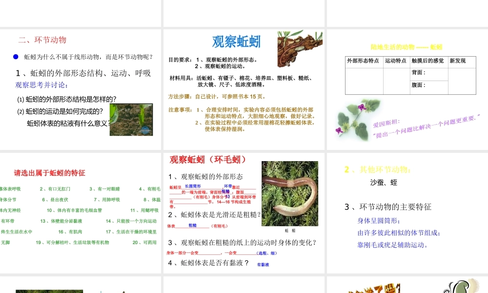 八年级生物上册 第5单元 第1章 第2节《线性动物和环节动物》课件 （新版）新人教版-（新版）新人教版初中八年级上册生物课件