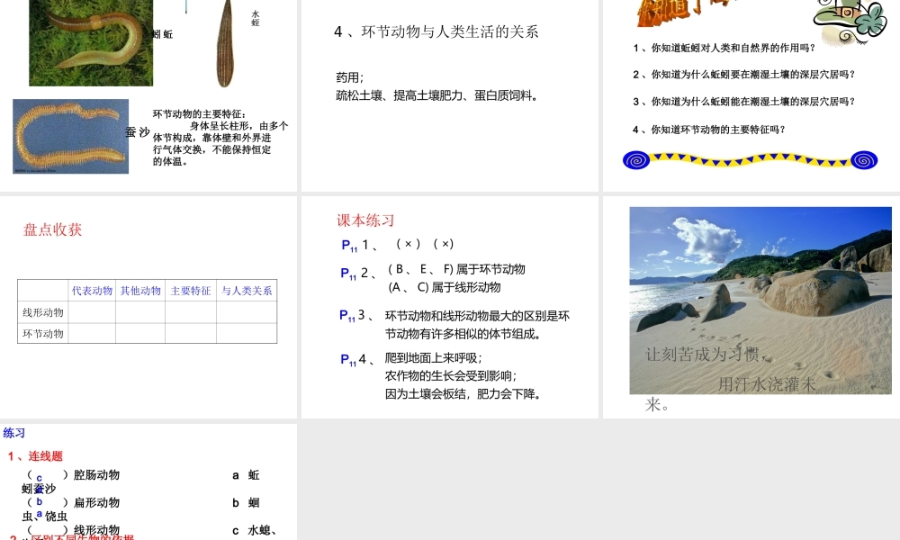 八年级生物上册 第5单元 第1章 第2节《线性动物和环节动物》课件 （新版）新人教版-（新版）新人教版初中八年级上册生物课件