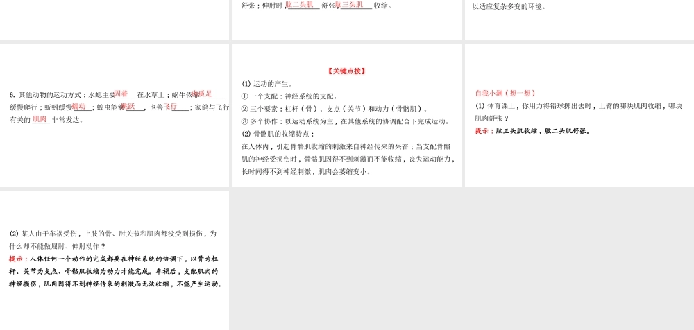 八年级生物上册 探究导学课型 5.2.1 动物的运动课件 （新版）新人教版-（新版）新人教版初中八年级上册生物课件