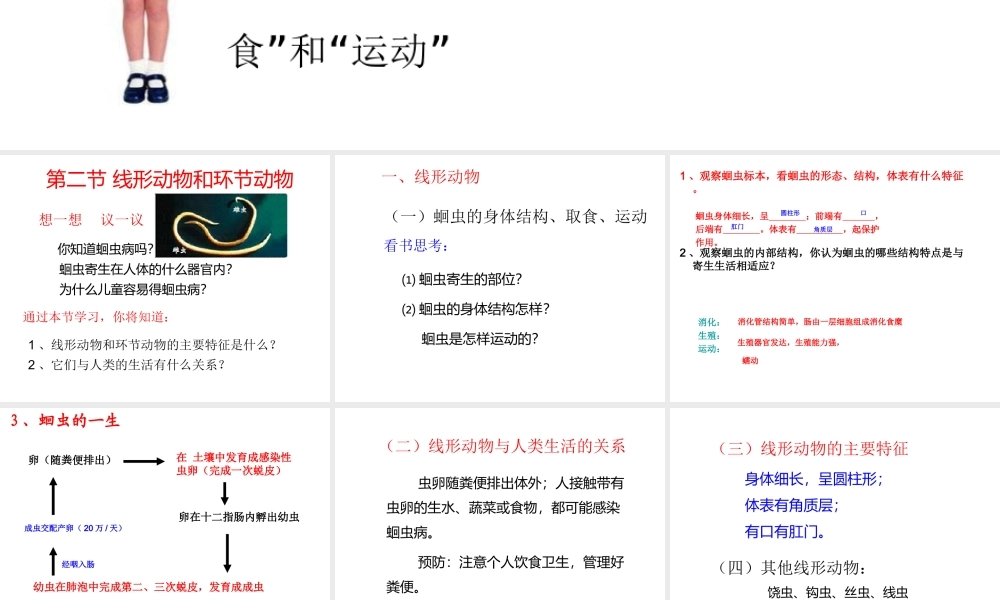 八年级生物上册 第5单元 第1章 第2节《线性动物和环节动物》课件 （新版）新人教版-（新版）新人教级上册生物课件