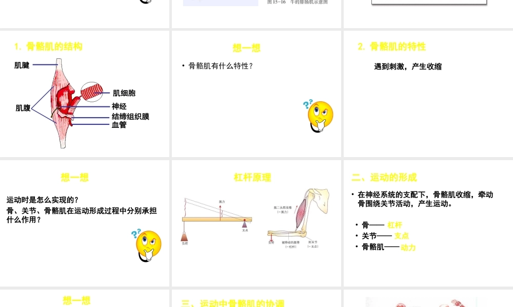 八年级生物上册 第15章 第2节 动物运动的形成课件4（新版）北师大版