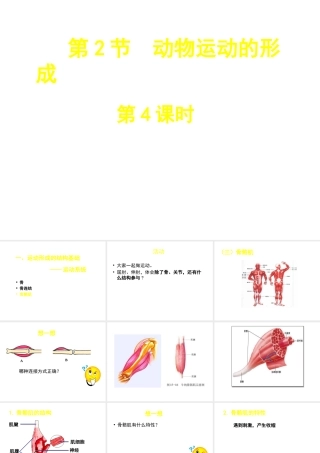 八年级生物上册 第15章 第2节 动物运动的形成课件4（新版）北师大版