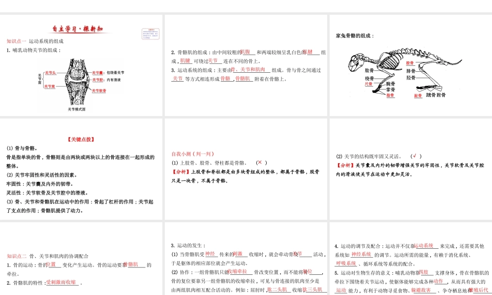 八年级生物上册 探究导学课型 5.2.1 动物的运动课件 （新版）新人教版-（新版）新人教级上册生物课件