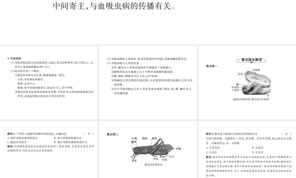 八年级生物上册 第5单元 第1章 第3节 软体动物和节肢动物练习课件 （新版）新人教版-（新版）新人教级上册生物课件