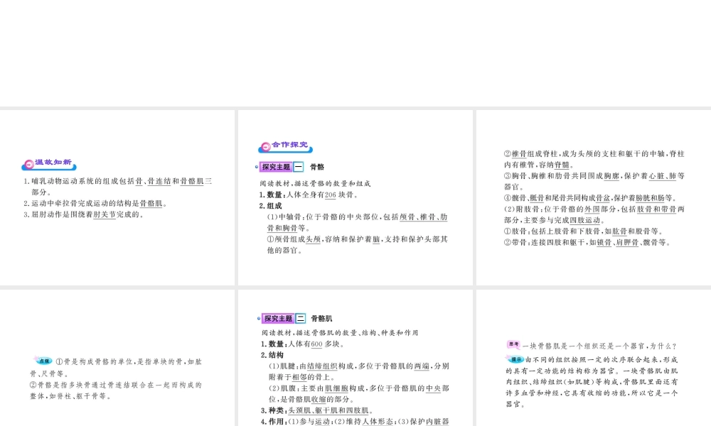 八年级生物上册 第15章 第2节 动物运动的形成练习题课件 北师大版-北师大级上册生物课件
