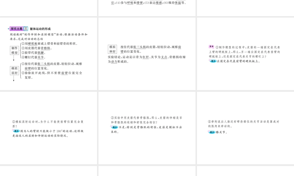 八年级生物上册 第15章 第2节 动物运动的形成练习题课件 北师大版-北师大级上册生物课件
