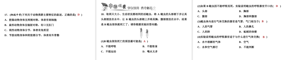 八年级生物上册 第5单元 第1章 第3节 软体动物和节肢动物习题课件 （新版）新人教版-（新版）新人教版初中八年级上册生物课件