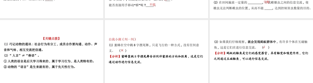 八年级生物上册 探究导学课型 5.2.3 社会行为课件 （新版）新人教版-（新版）新人教版初中八年级上册生物课件