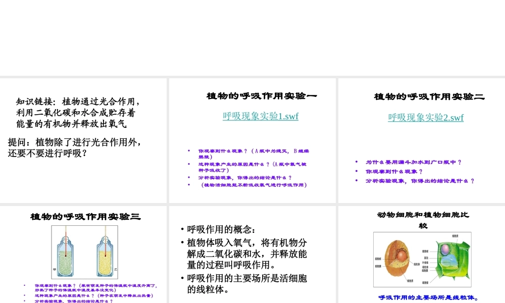 八年级生物上册 呼吸作用及其利用课件 冀教版