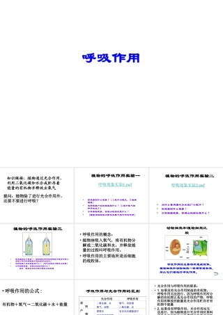 八年级生物上册 呼吸作用及其利用课件 冀教版