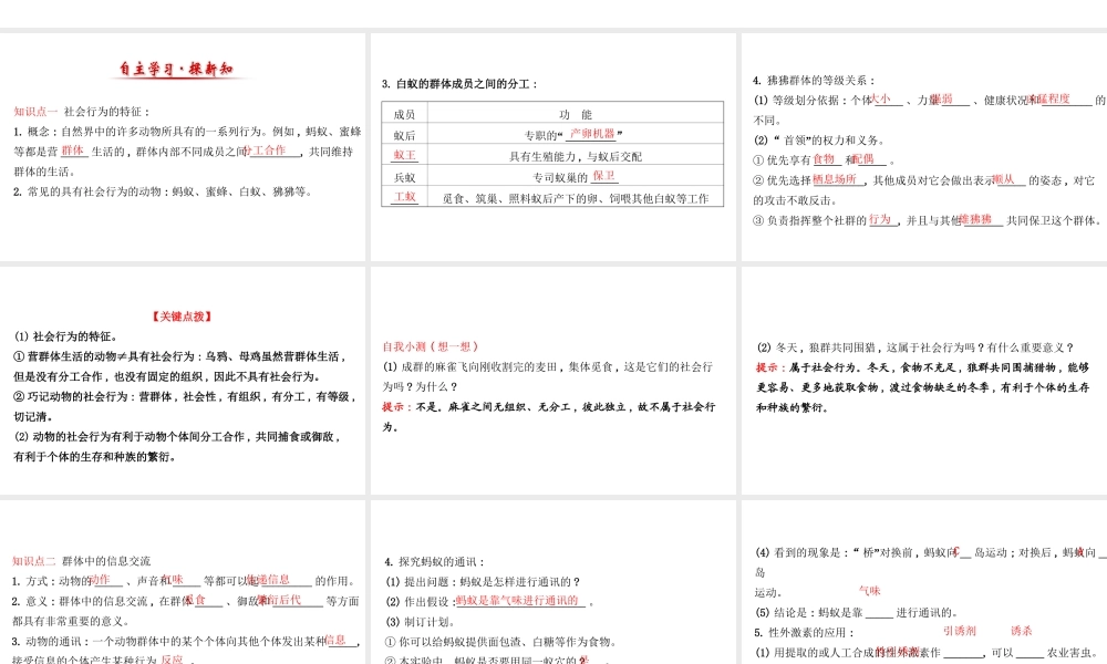 八年级生物上册 探究导学课型 5.2.3 社会行为课件 （新版）新人教版-（新版）新人教级上册生物课件