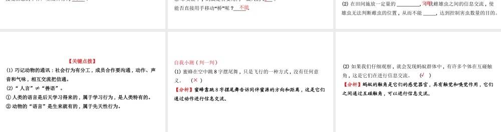 八年级生物上册 探究导学课型 5.2.3 社会行为课件 （新版）新人教版-（新版）新人教级上册生物课件