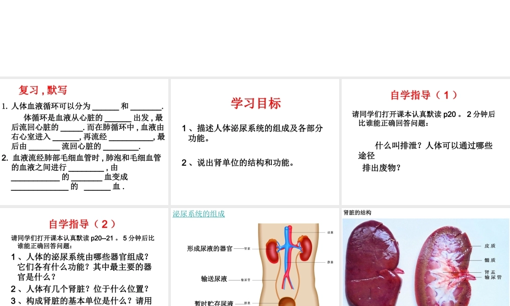 八年级生物上册 第15章 第2节人体内废物的排出课件1 （新版）苏科版-（新版）苏科版初中八年级上册生物课件