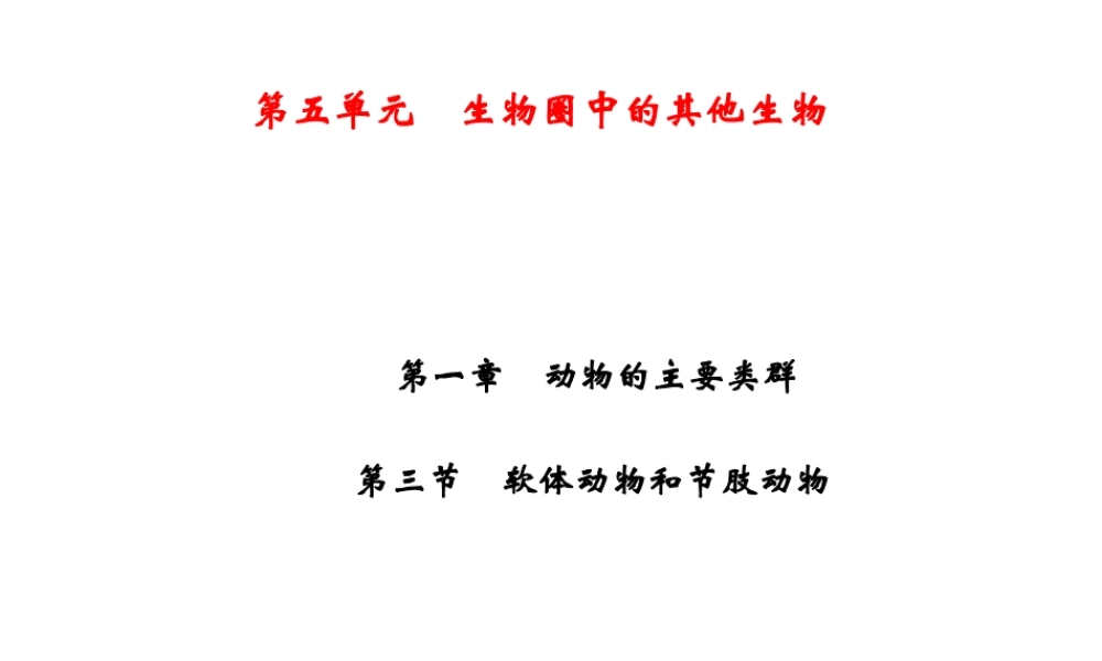 八年级生物上册 第5单元 第1章 第3节 软体动物和节肢动物习题课件 （新版）新人教版-（新版）新人教级上册生物课件