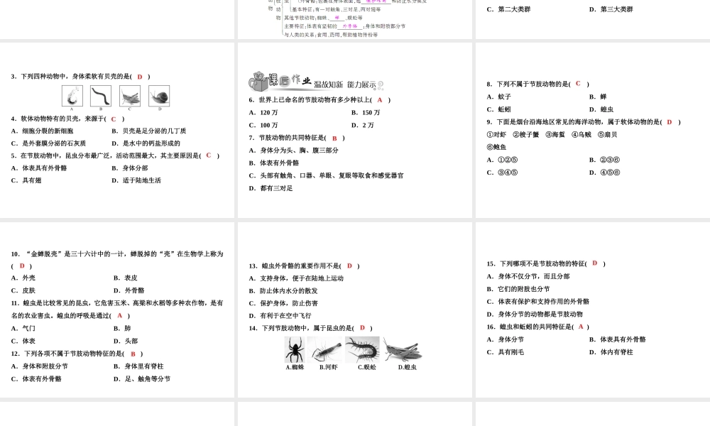 八年级生物上册 第5单元 第1章 第3节 软体动物和节肢动物习题课件 （新版）新人教版-（新版）新人教级上册生物课件