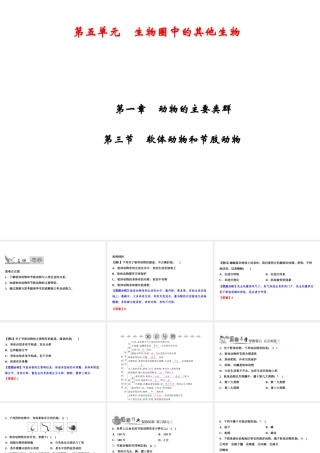 八年级生物上册 第5单元 第1章 第3节 软体动物和节肢动物习题课件 （新版）新人教版-（新版）新人教级上册生物课件