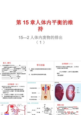 八年级生物上册 第15章 第2节人体内废物的排出课件1 （新版）苏科版-（新版）苏科级上册生物课件