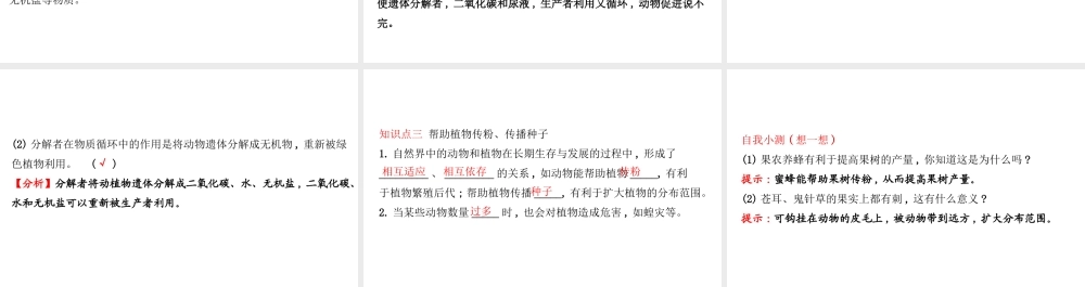 八年级生物上册 探究导学课型 5.3 动物在生物圈中的作用课件 （新版）新人教版-（新版）新人教版初中八年级上册生物课件