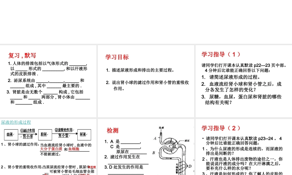 八年级生物上册 第15章 第2节人体内废物的排出课件2 （新版）苏科版-（新版）苏科级上册生物课件