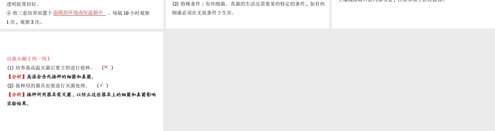 八年级生物上册 探究导学课型 5.4.1 细菌和真菌的分布课件 （新版）新人教版-（新版）新人教版初中八年级上册生物课件