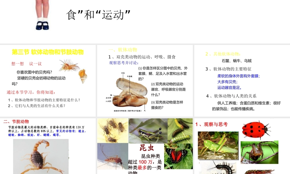 八年级生物上册 第5单元 第1章 第3节《软体动物和节肢动物》课件 （新版）新人教版-（新版）新人教级上册生物课件