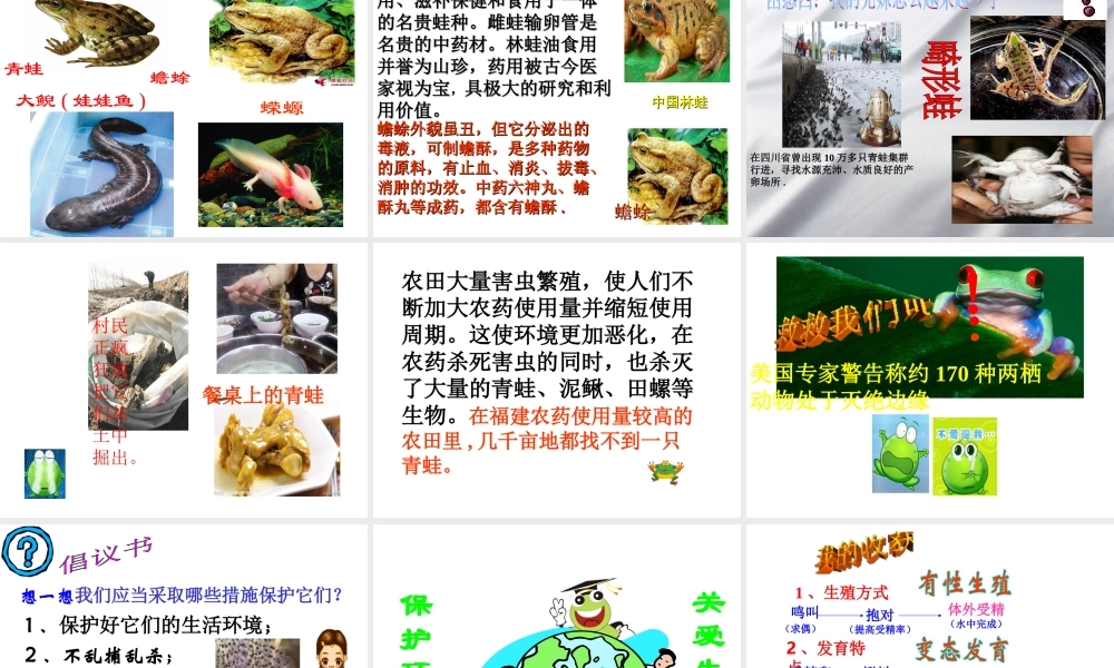 八年级生物上册 两栖动物的生殖和发育课件  济南版