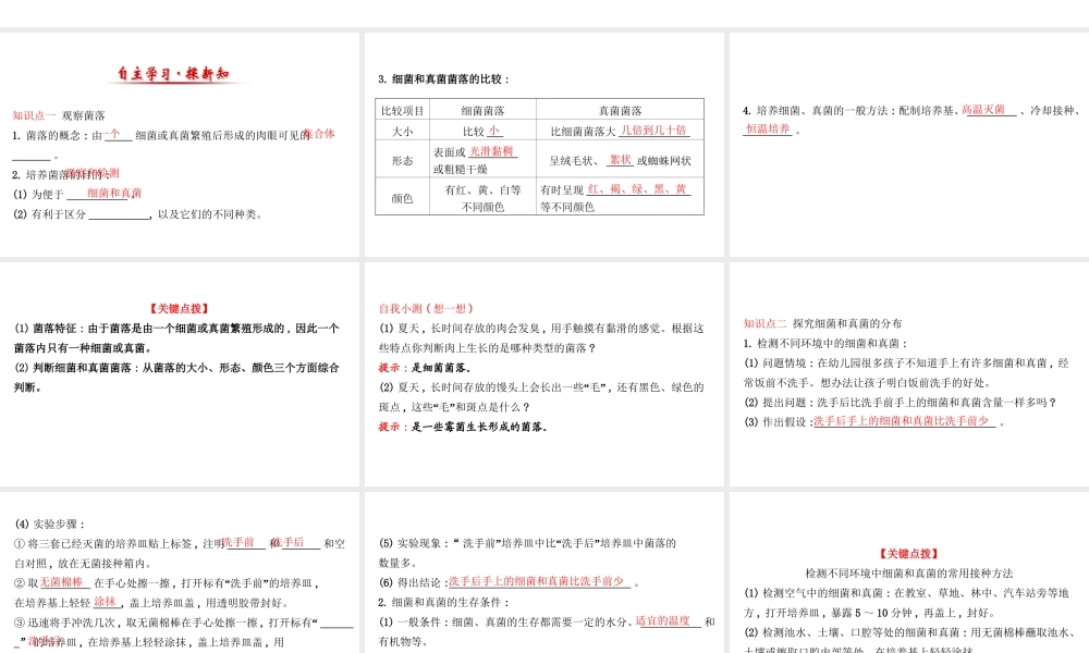 八年级生物上册 探究导学课型 5.4.1 细菌和真菌的分布课件 （新版）新人教版-（新版）新人教级上册生物课件