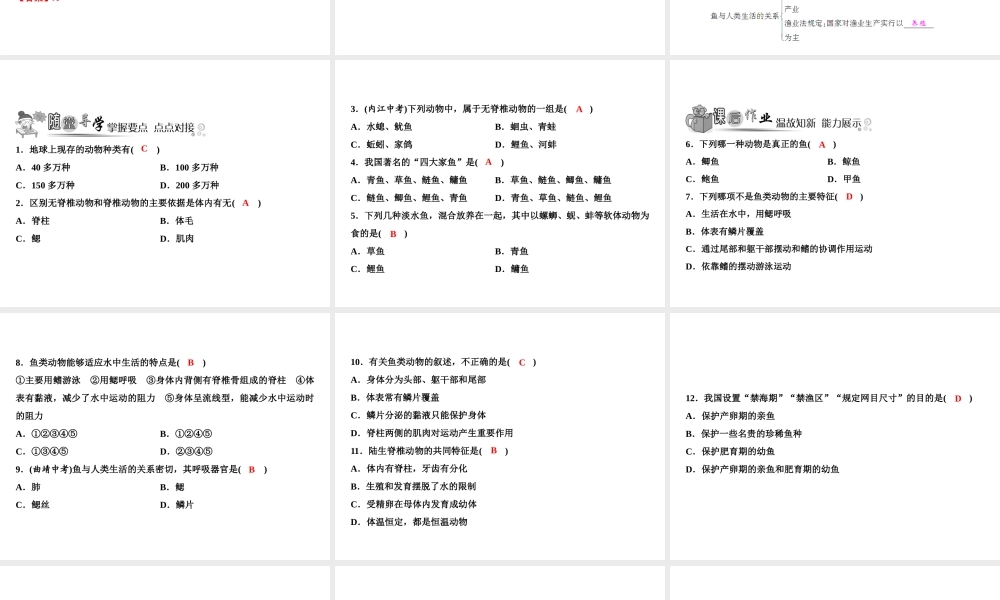 八年级生物上册 第5单元 第1章 第4节 鱼习题课件 （新版）新人教版-（新版）新人教版初中八年级上册生物课件