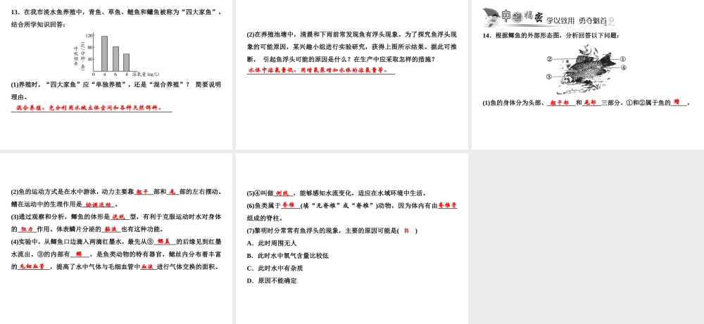 八年级生物上册 第5单元 第1章 第4节 鱼习题课件 （新版）新人教版-（新版）新人教版初中八年级上册生物课件