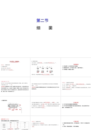 八年级生物上册 探究导学课型 5.4.2 细菌课件 （新版）新人教版-（新版）新人教级上册生物课件