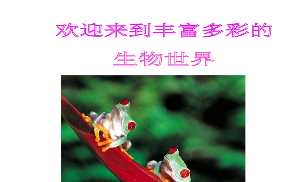 八年级生物上册 两栖动物的生殖和发育课件 苏教版