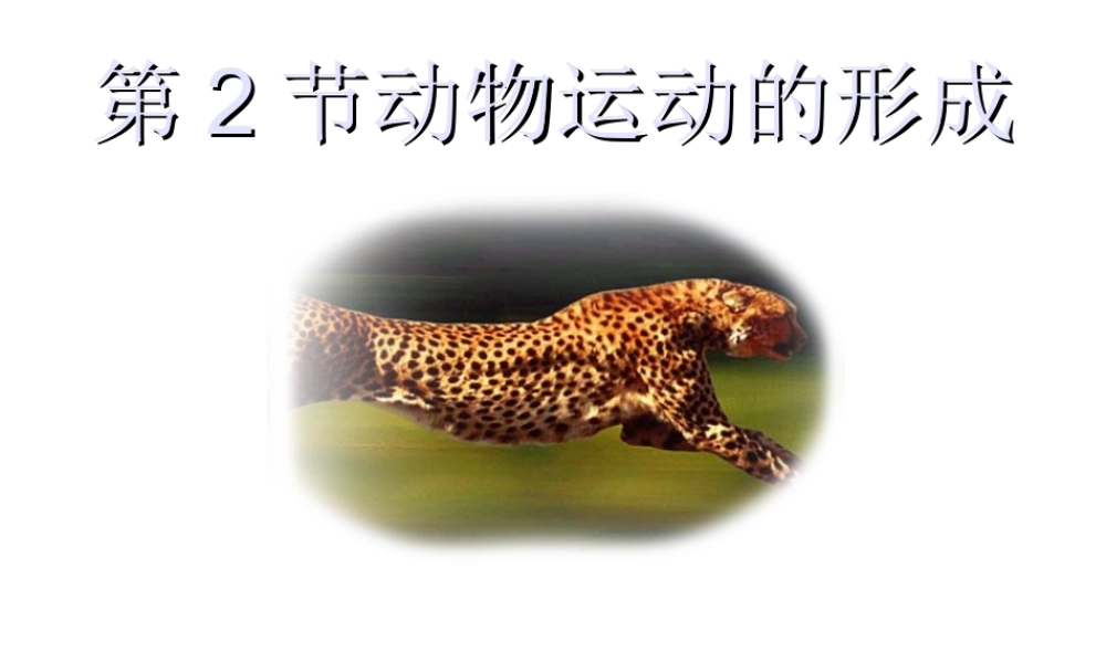 八年级生物上册 第15章第2节 动物运动的形成课件 北师大版