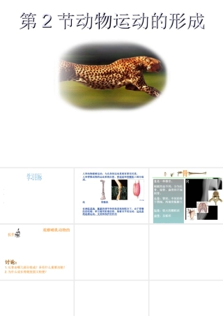 八年级生物上册 第15章第2节 动物运动的形成课件 北师大版