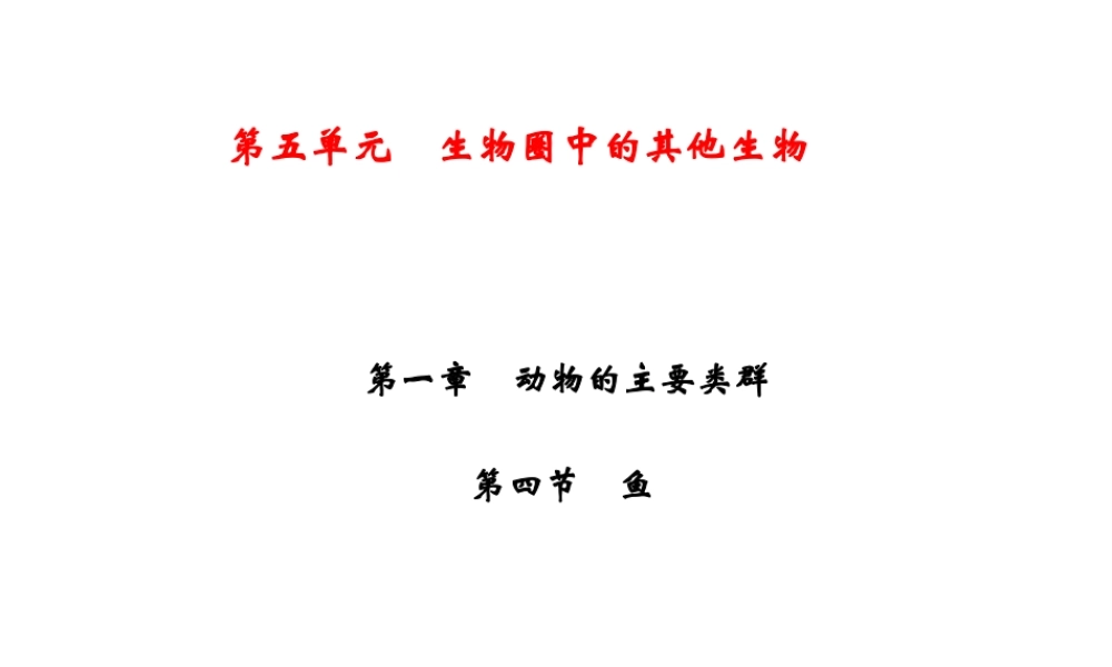 八年级生物上册 第5单元 第1章 第4节 鱼习题课件 （新版）新人教版-（新版）新人教级上册生物课件