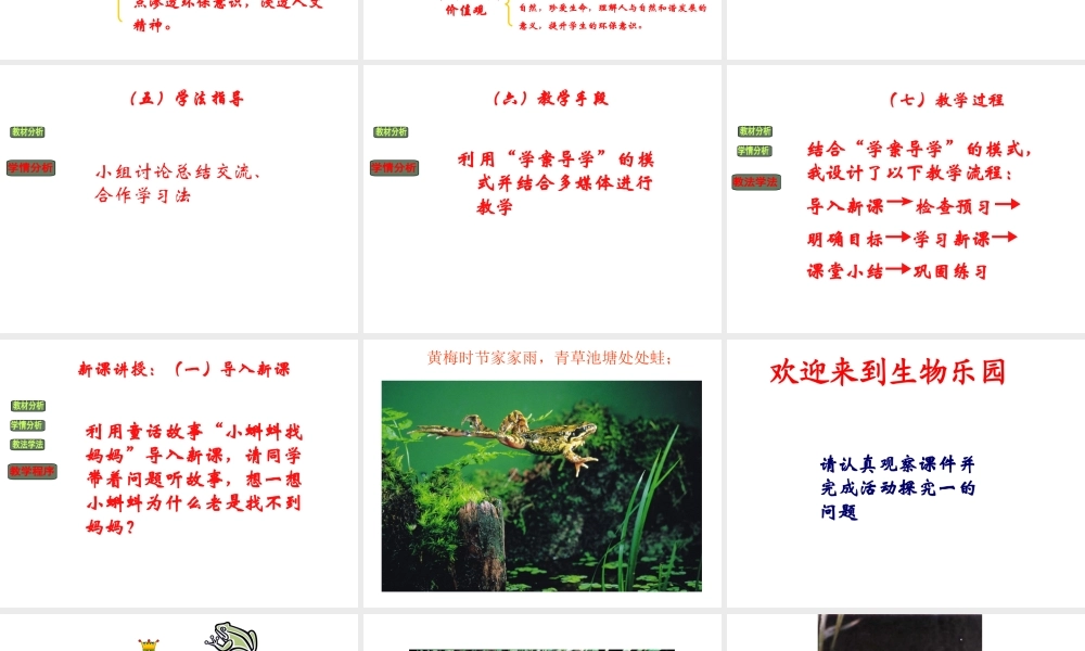 八年级生物上册 两栖动物的生殖与发育说课课件 济南版