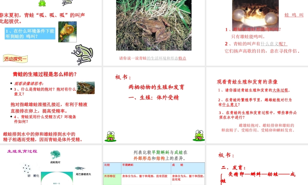 八年级生物上册 两栖动物的生殖与发育说课课件 济南版