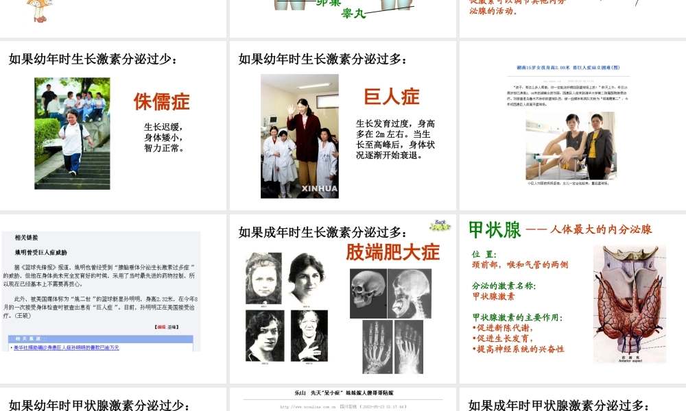 八年级生物上册 第15章第3节人体的激素调节课件 苏科版