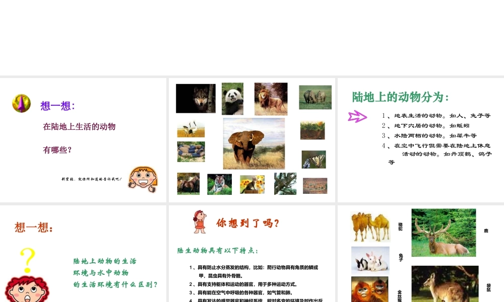 八年级生物上册 第5单元 第1章 动物的主要类群 第二节 陆地生活的动物课件1 新人教版