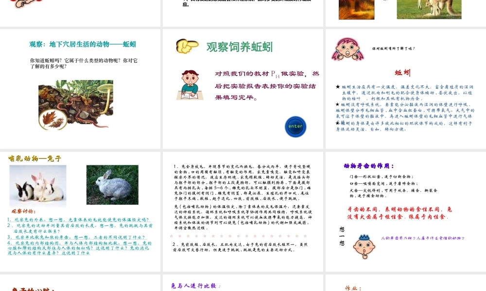 八年级生物上册 第5单元 第1章 动物的主要类群 第二节 陆地生活的动物课件1 新人教版