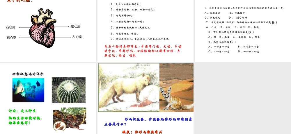 八年级生物上册 第5单元 第1章 动物的主要类群 第二节 陆地生活的动物课件1 新人教版