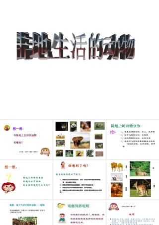 八年级生物上册 第5单元 第1章 动物的主要类群 第二节 陆地生活的动物课件1 新人教版