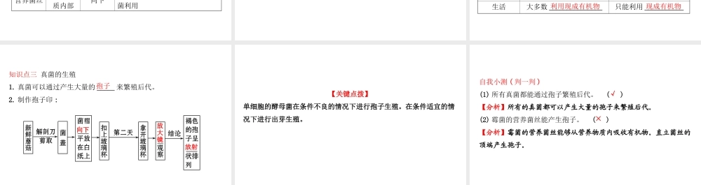 八年级生物上册 探究导学课型 5.4.3 真菌课件 （新版）新人教版-（新版）新人教级上册生物课件