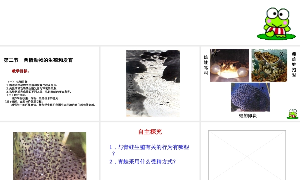 八年级生物上册 两栖动物生殖和发育课件 教科版