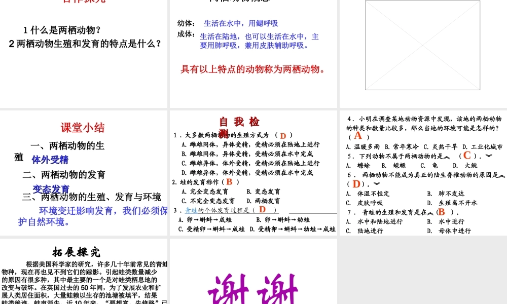 八年级生物上册 两栖动物生殖和发育课件 教科版