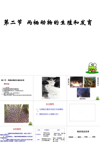 八年级生物上册 两栖动物生殖和发育课件 教科版