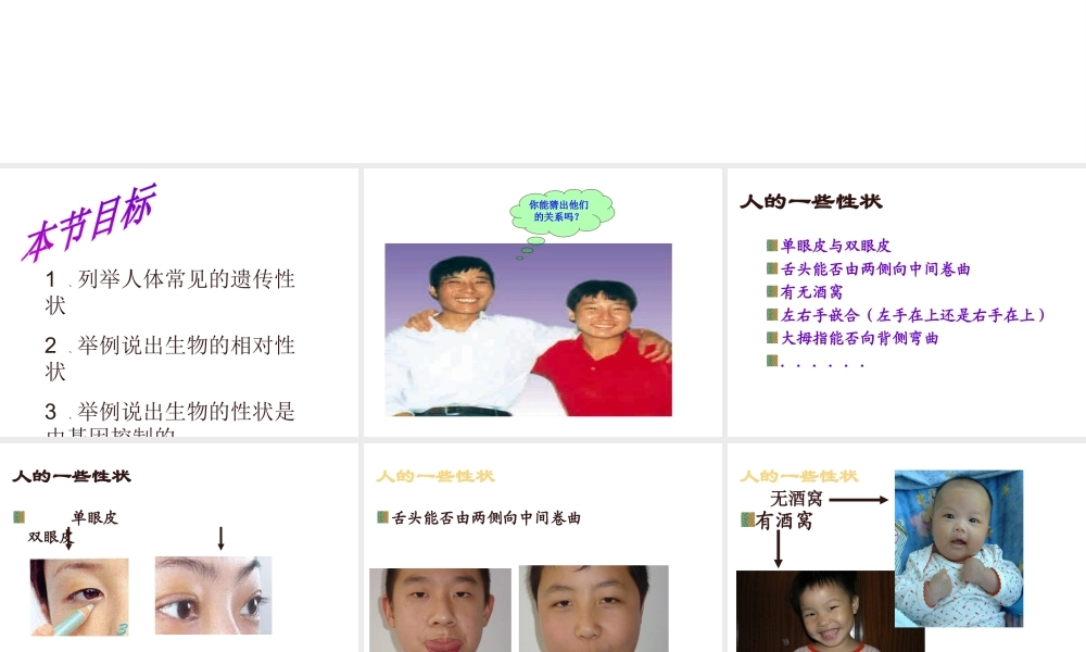 八年级生物上册 第15章第二节 人的性状和遗传精品课件1 苏教版