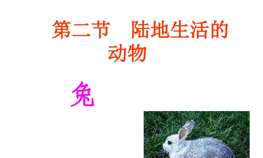 八年级生物上册 第5单元 第1章 动物的主要类群 第二节 陆地生活的动物课件2 新人教版