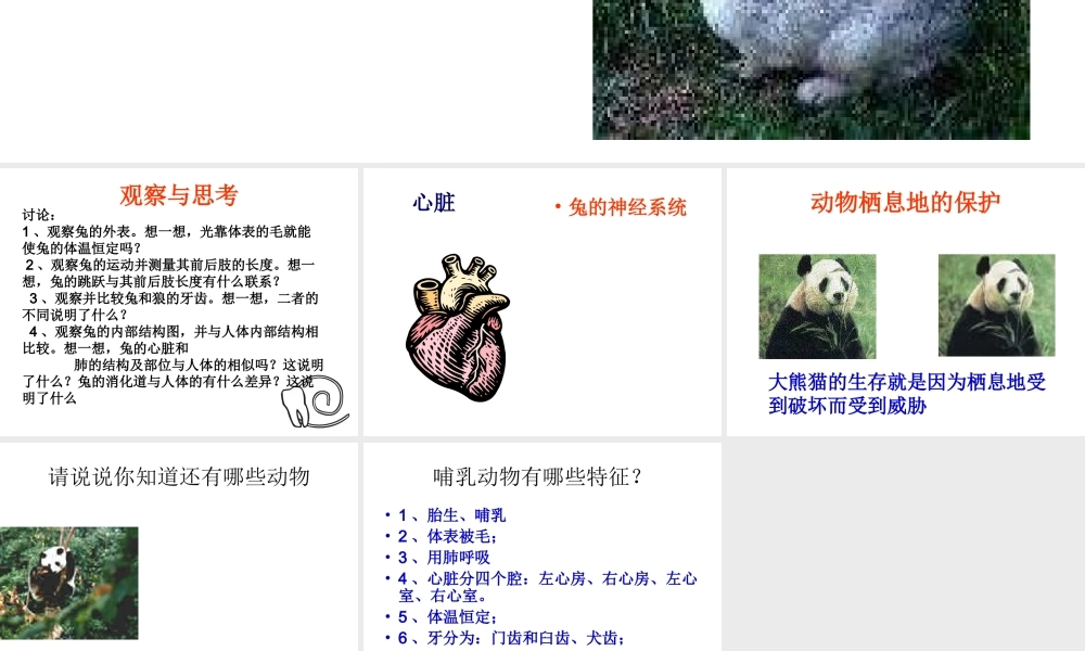 八年级生物上册 第5单元 第1章 动物的主要类群 第二节 陆地生活的动物课件2 新人教版