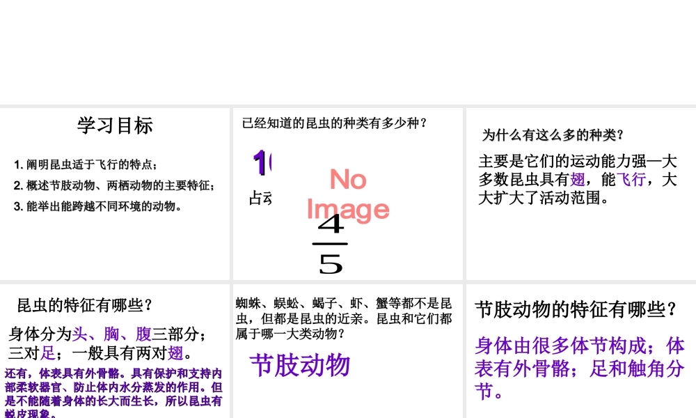 八年级生物上册 第5单元 第1章 动物的主要类群 第三节 空中飞行的动物（第二课时）课件 新人教版